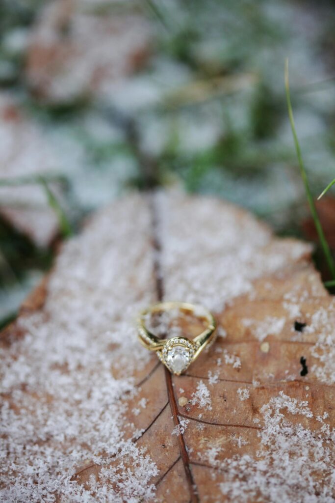A gold engagement ring rests beautifully on a frosty autumn leaf, highlighting its elegance.